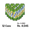 Tuborg Beer 500ML x 12 Cans